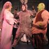 Shrek at The Conejo Players: Shrek, Fiona & Donkey at the Wedding
